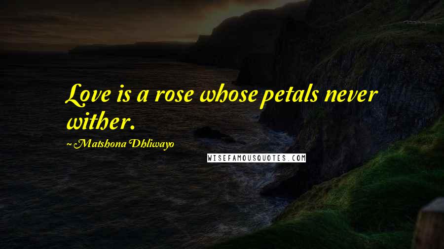 Matshona Dhliwayo Quotes: Love is a rose whose petals never wither.