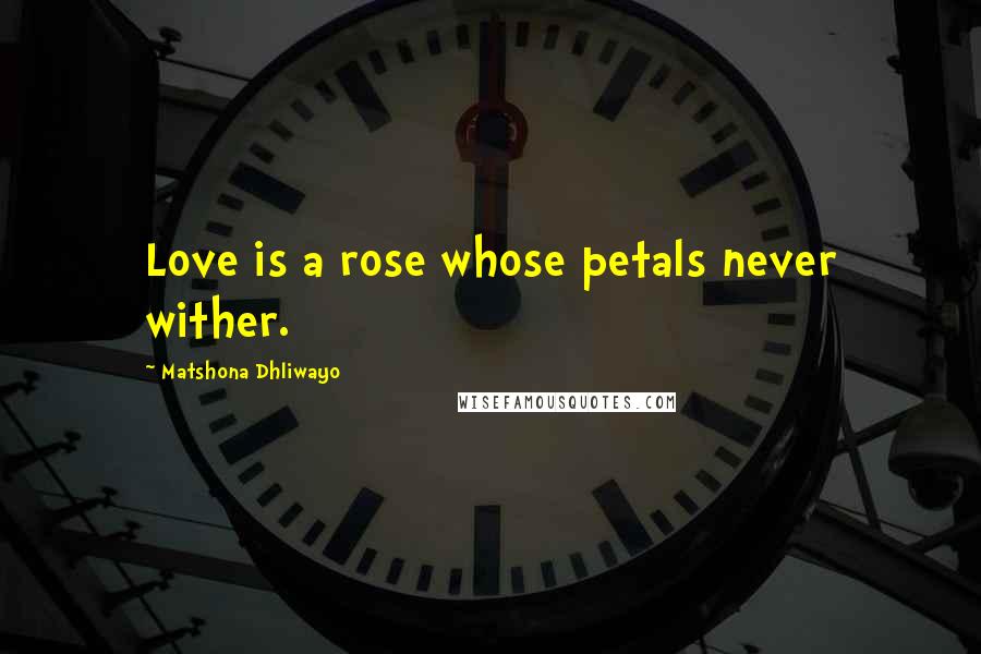 Matshona Dhliwayo Quotes: Love is a rose whose petals never wither.