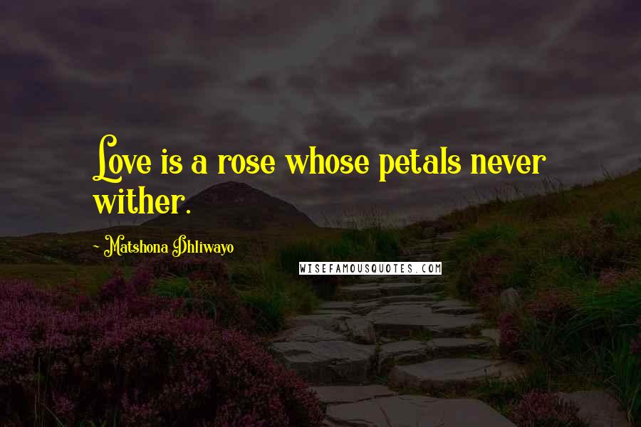 Matshona Dhliwayo Quotes: Love is a rose whose petals never wither.