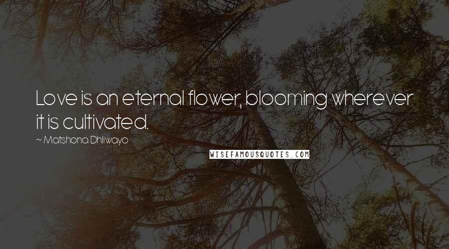 Matshona Dhliwayo Quotes: Love is an eternal flower, blooming wherever it is cultivated.