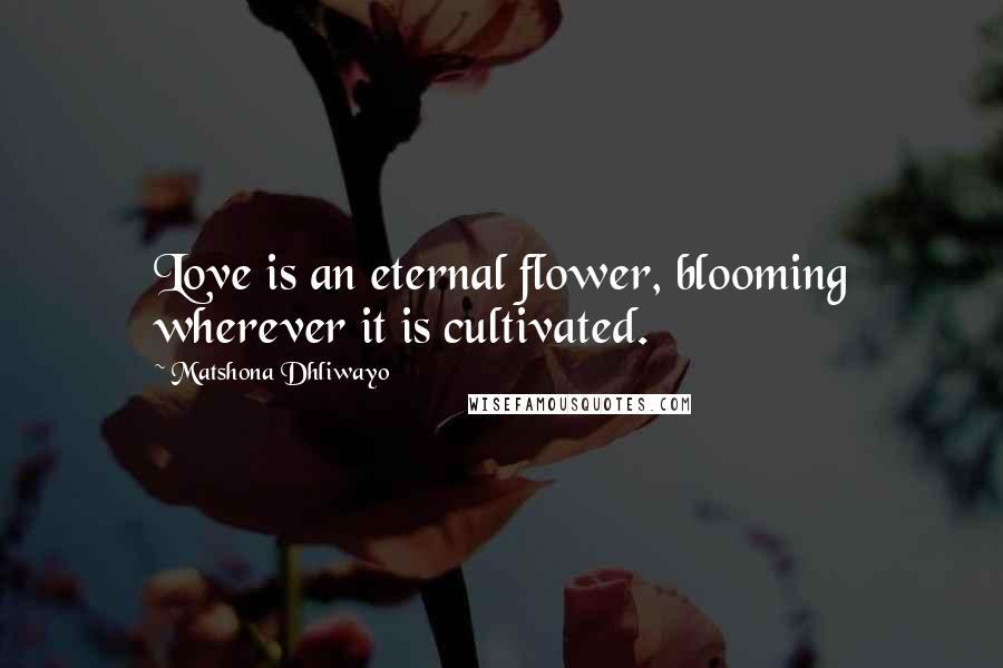 Matshona Dhliwayo Quotes: Love is an eternal flower, blooming wherever it is cultivated.