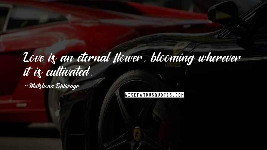 Matshona Dhliwayo Quotes: Love is an eternal flower, blooming wherever it is cultivated.