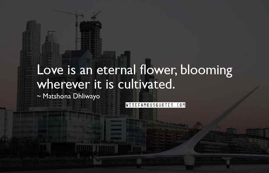 Matshona Dhliwayo Quotes: Love is an eternal flower, blooming wherever it is cultivated.