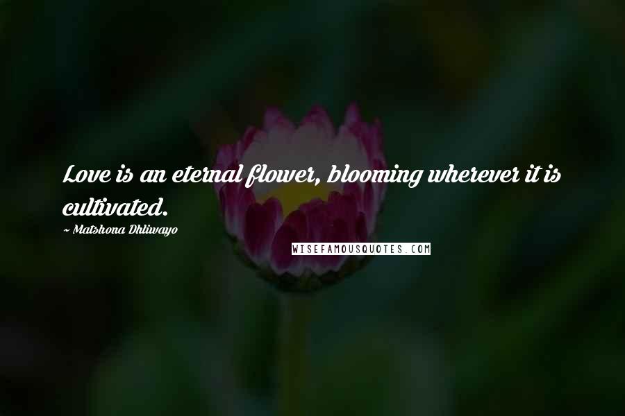 Matshona Dhliwayo Quotes: Love is an eternal flower, blooming wherever it is cultivated.