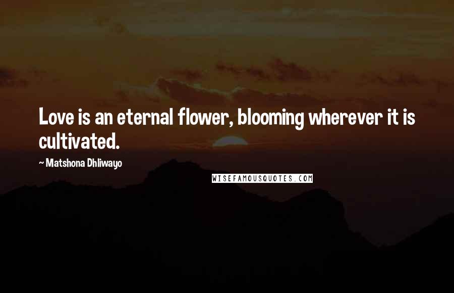 Matshona Dhliwayo Quotes: Love is an eternal flower, blooming wherever it is cultivated.