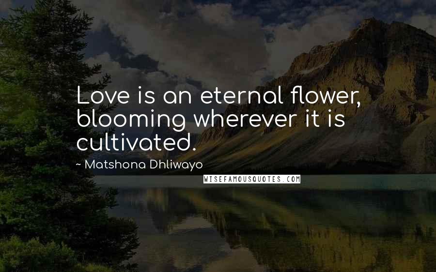 Matshona Dhliwayo Quotes: Love is an eternal flower, blooming wherever it is cultivated.