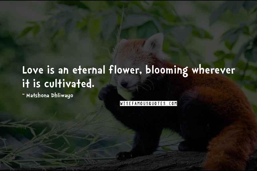 Matshona Dhliwayo Quotes: Love is an eternal flower, blooming wherever it is cultivated.