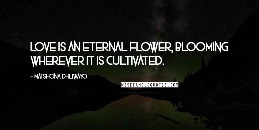 Matshona Dhliwayo Quotes: Love is an eternal flower, blooming wherever it is cultivated.