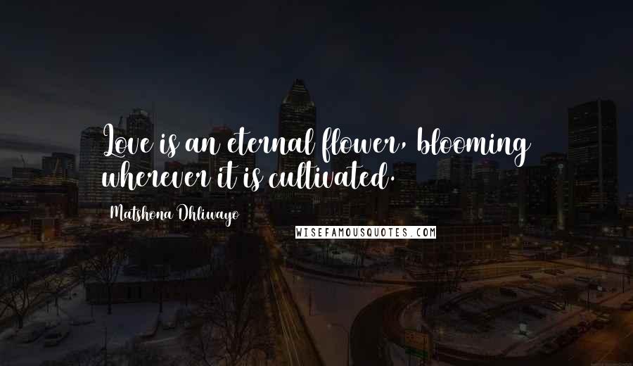 Matshona Dhliwayo Quotes: Love is an eternal flower, blooming wherever it is cultivated.