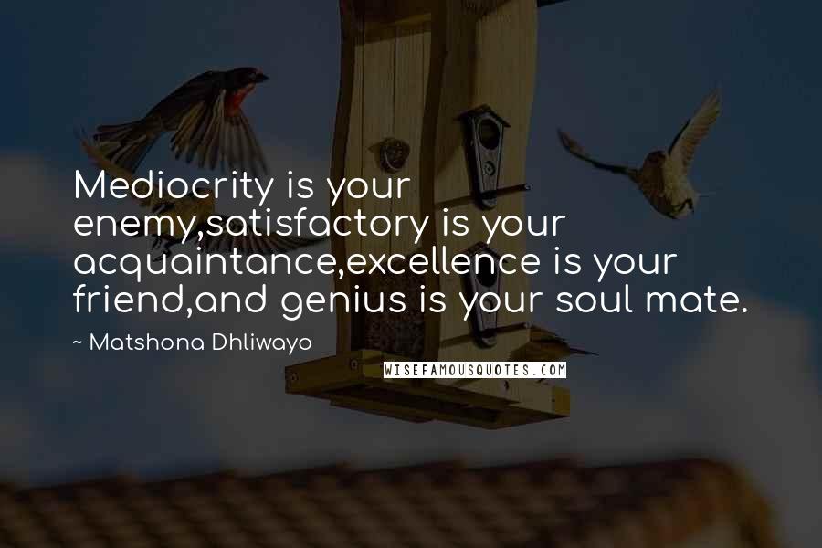 Matshona Dhliwayo Quotes: Mediocrity is your enemy,satisfactory is your acquaintance,excellence is your friend,and genius is your soul mate.