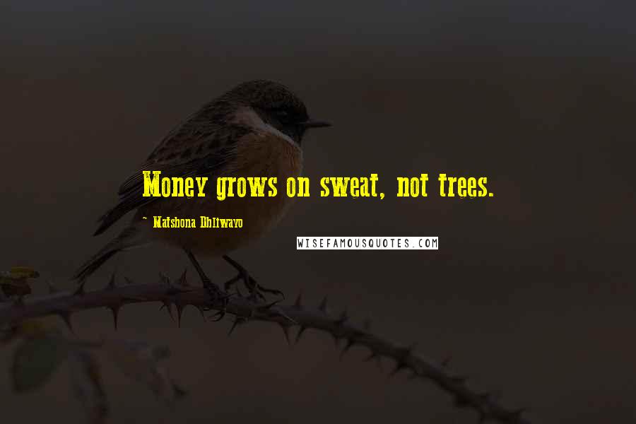 Matshona Dhliwayo Quotes: Money grows on sweat, not trees.