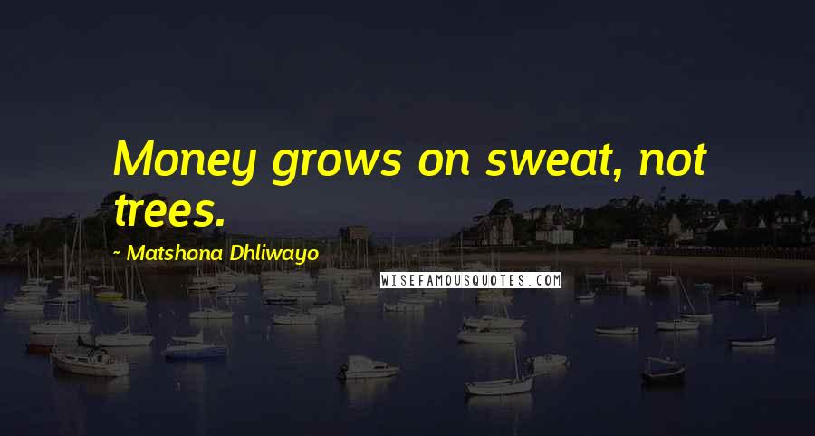 Matshona Dhliwayo Quotes: Money grows on sweat, not trees.