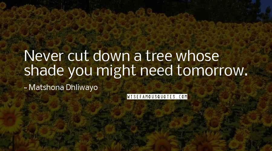 Matshona Dhliwayo Quotes: Never cut down a tree whose shade you might need tomorrow.