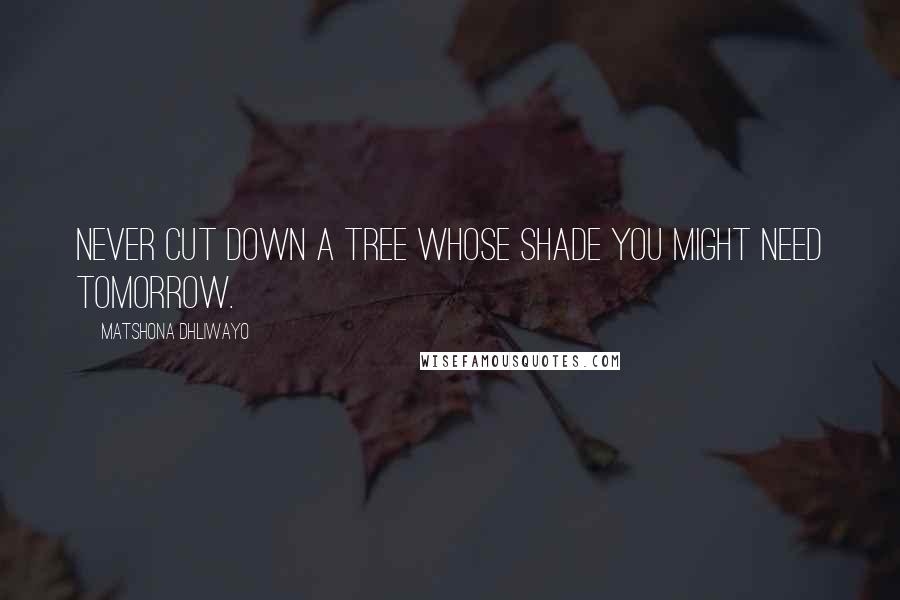 Matshona Dhliwayo Quotes: Never cut down a tree whose shade you might need tomorrow.