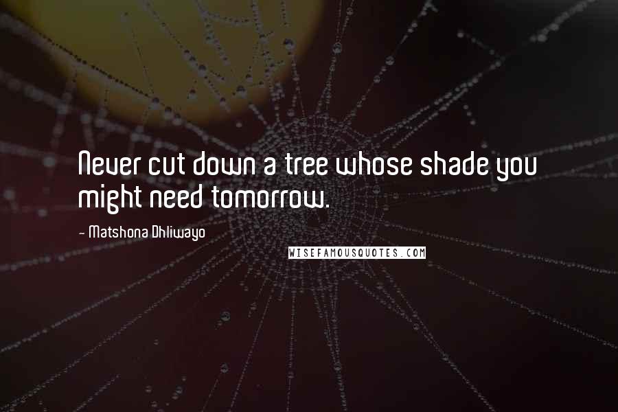 Matshona Dhliwayo Quotes: Never cut down a tree whose shade you might need tomorrow.