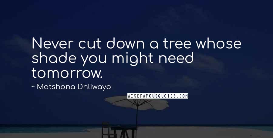 Matshona Dhliwayo Quotes: Never cut down a tree whose shade you might need tomorrow.