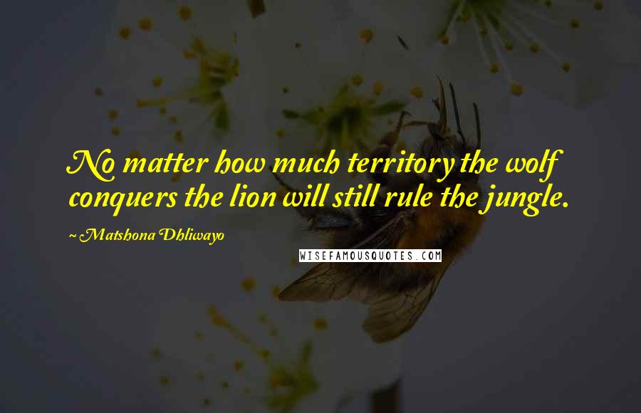 Matshona Dhliwayo Quotes: No matter how much territory the wolf conquers the lion will still rule the jungle.