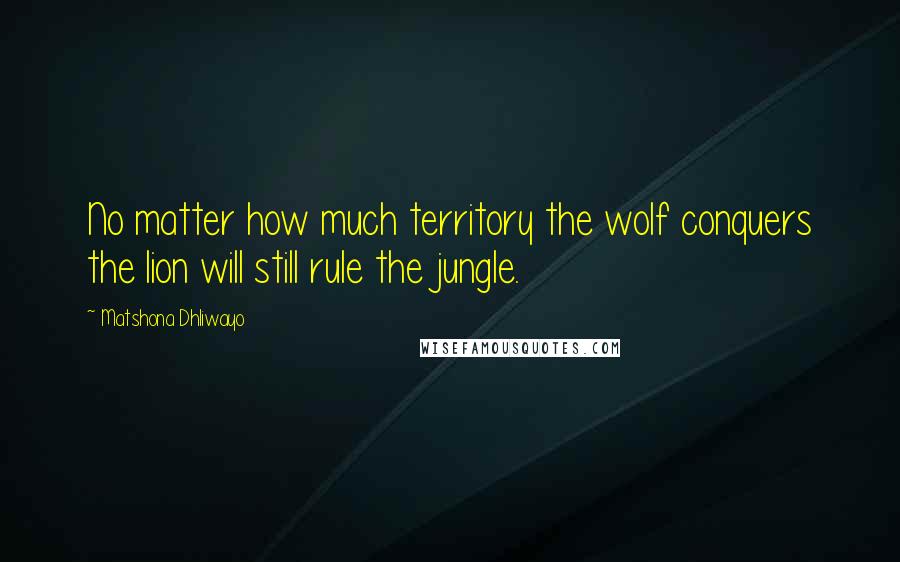 Matshona Dhliwayo Quotes: No matter how much territory the wolf conquers the lion will still rule the jungle.