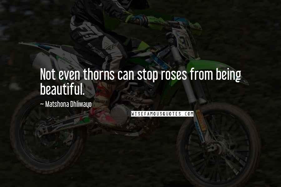 Matshona Dhliwayo Quotes: Not even thorns can stop roses from being beautiful.