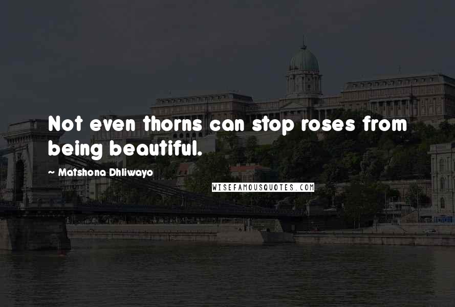 Matshona Dhliwayo Quotes: Not even thorns can stop roses from being beautiful.