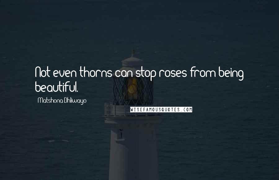 Matshona Dhliwayo Quotes: Not even thorns can stop roses from being beautiful.