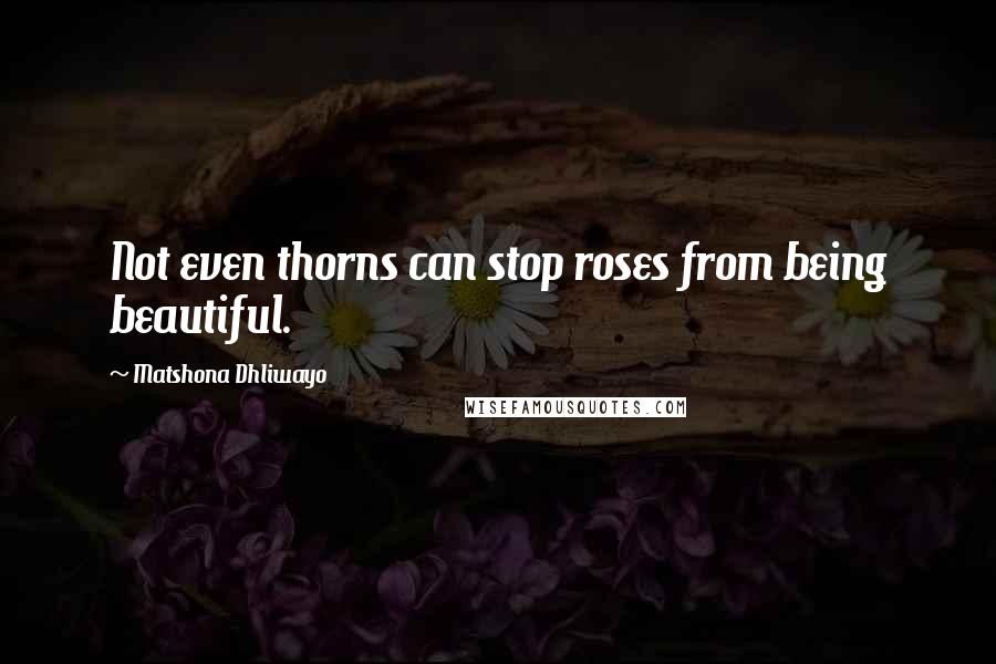 Matshona Dhliwayo Quotes: Not even thorns can stop roses from being beautiful.