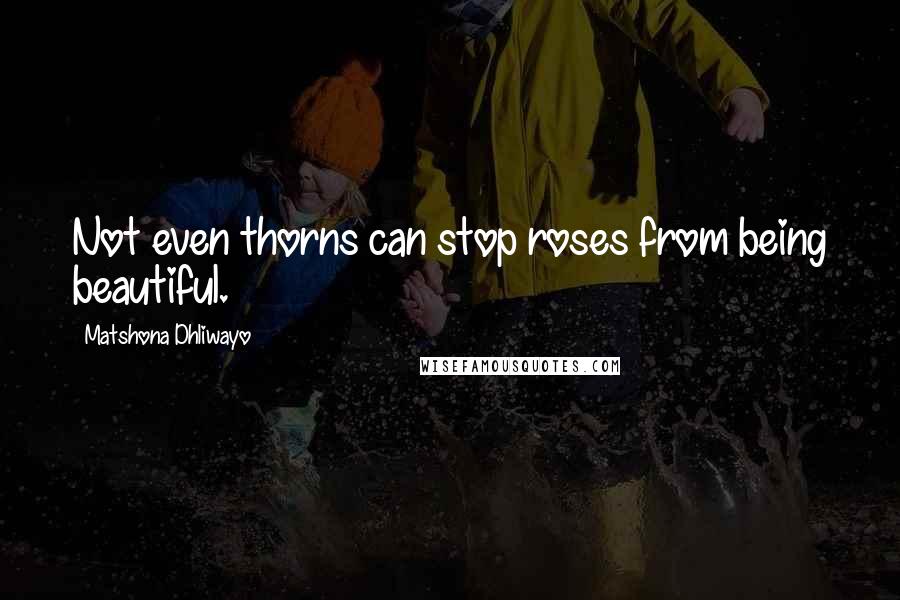 Matshona Dhliwayo Quotes: Not even thorns can stop roses from being beautiful.