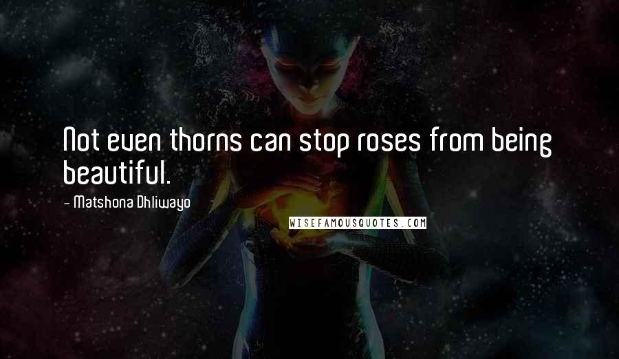 Matshona Dhliwayo Quotes: Not even thorns can stop roses from being beautiful.