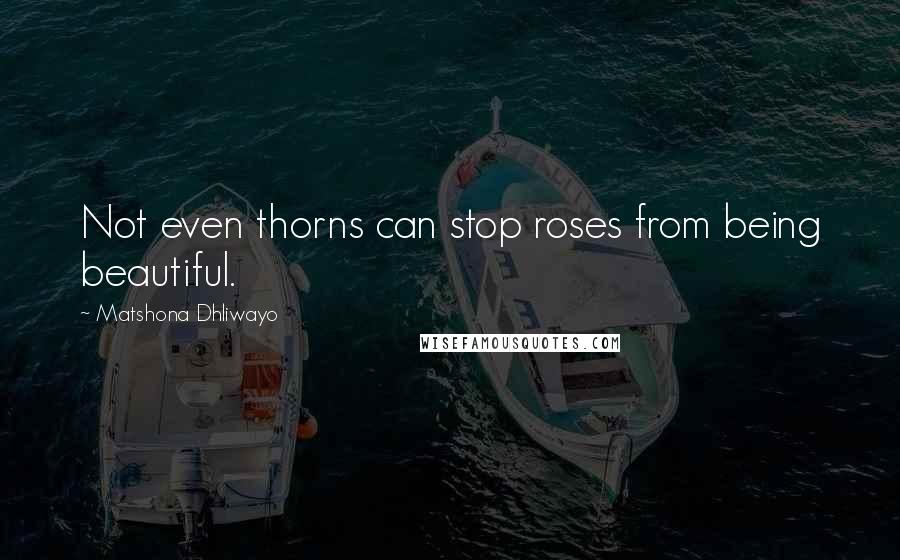 Matshona Dhliwayo Quotes: Not even thorns can stop roses from being beautiful.