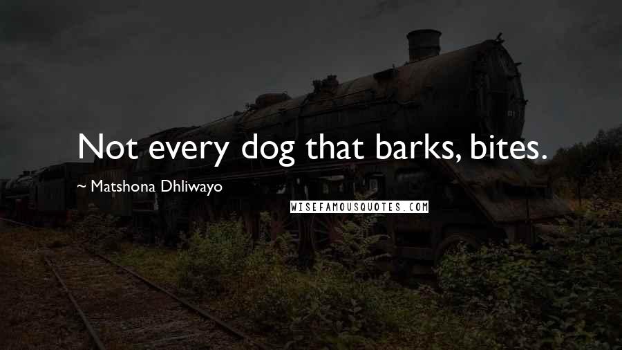 Matshona Dhliwayo Quotes: Not every dog that barks, bites.