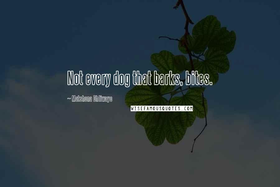 Matshona Dhliwayo Quotes: Not every dog that barks, bites.