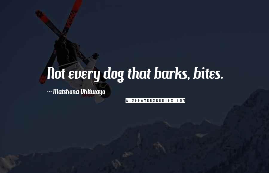 Matshona Dhliwayo Quotes: Not every dog that barks, bites.