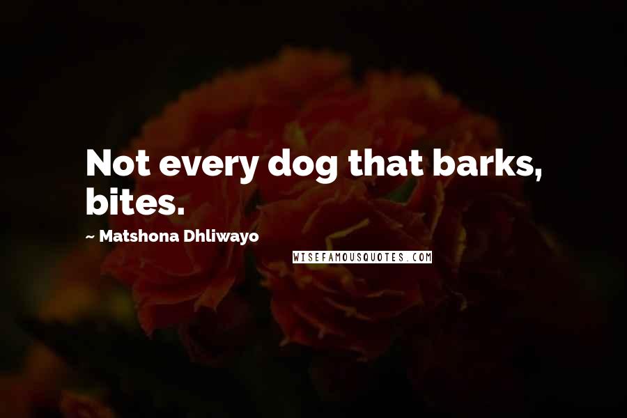 Matshona Dhliwayo Quotes: Not every dog that barks, bites.