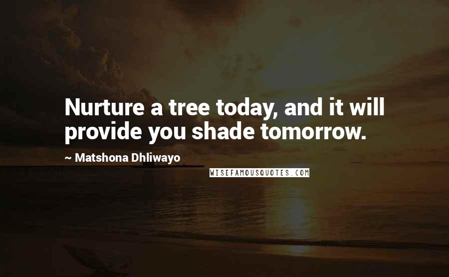 Matshona Dhliwayo Quotes: Nurture a tree today, and it will provide you shade tomorrow.