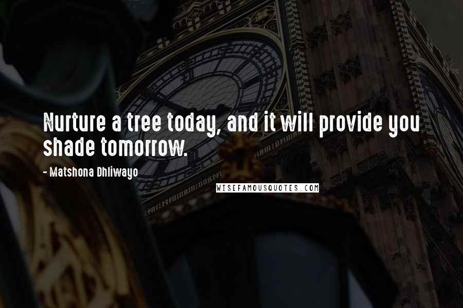 Matshona Dhliwayo Quotes: Nurture a tree today, and it will provide you shade tomorrow.