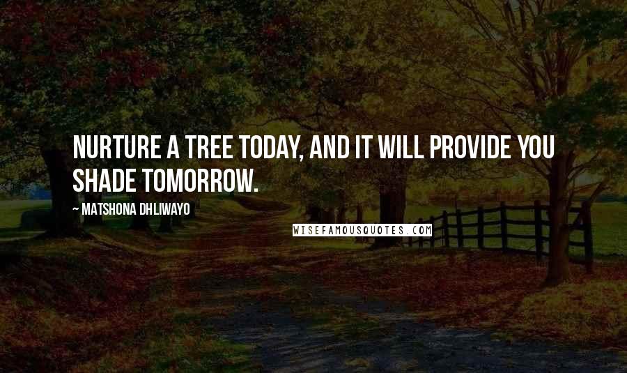 Matshona Dhliwayo Quotes: Nurture a tree today, and it will provide you shade tomorrow.