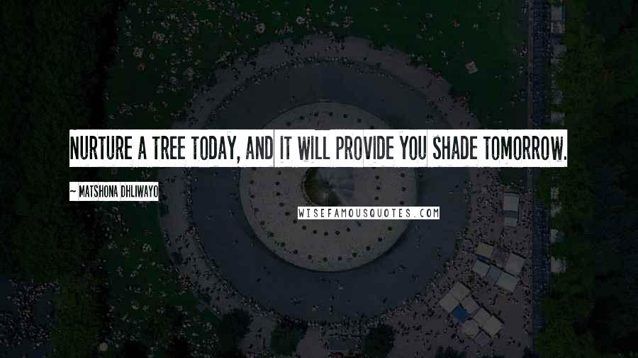 Matshona Dhliwayo Quotes: Nurture a tree today, and it will provide you shade tomorrow.