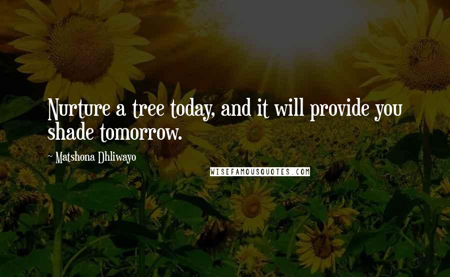 Matshona Dhliwayo Quotes: Nurture a tree today, and it will provide you shade tomorrow.