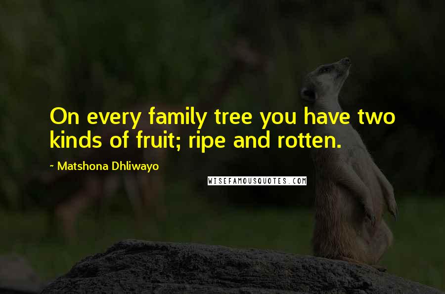 Matshona Dhliwayo Quotes: On every family tree you have two kinds of fruit; ripe and rotten.