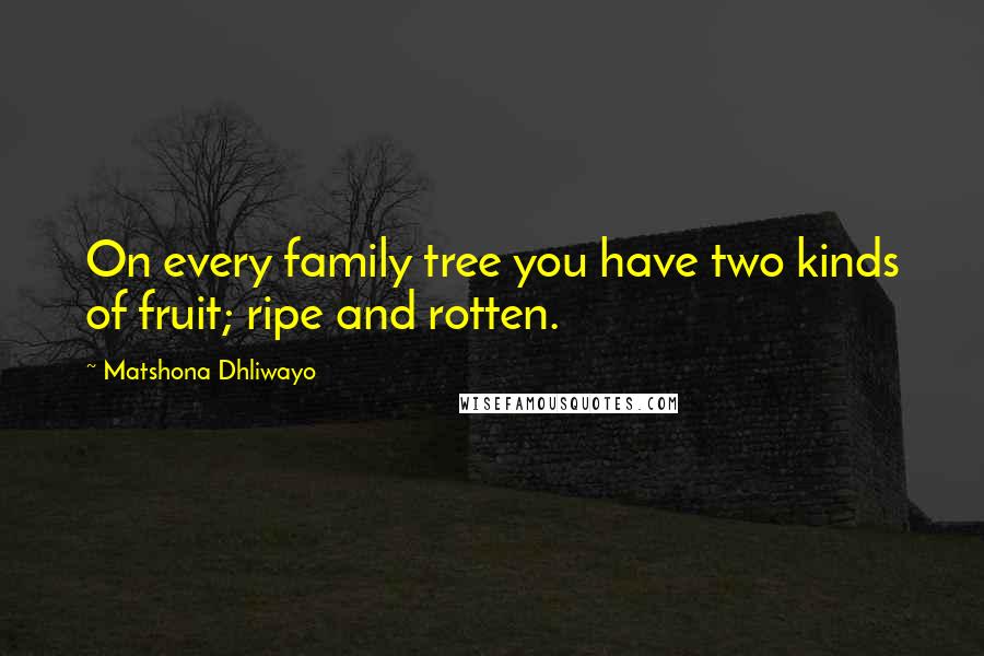 Matshona Dhliwayo Quotes: On every family tree you have two kinds of fruit; ripe and rotten.