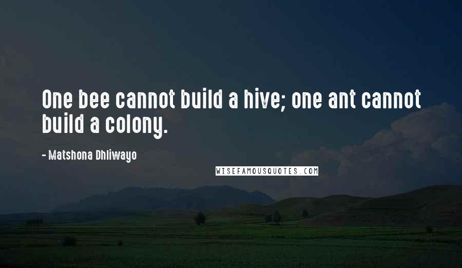 Matshona Dhliwayo Quotes: One bee cannot build a hive; one ant cannot build a colony.