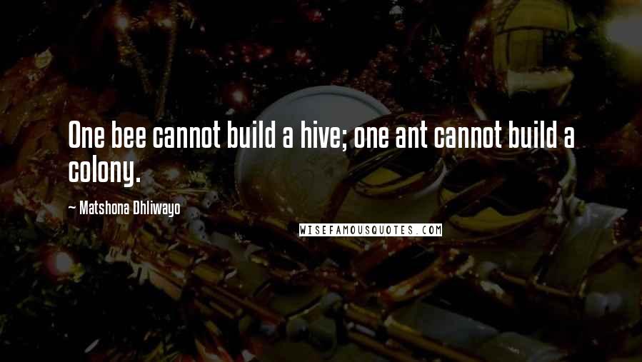 Matshona Dhliwayo Quotes: One bee cannot build a hive; one ant cannot build a colony.