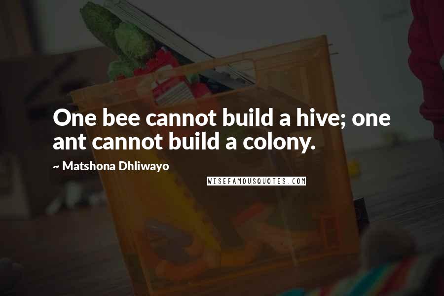 Matshona Dhliwayo Quotes: One bee cannot build a hive; one ant cannot build a colony.