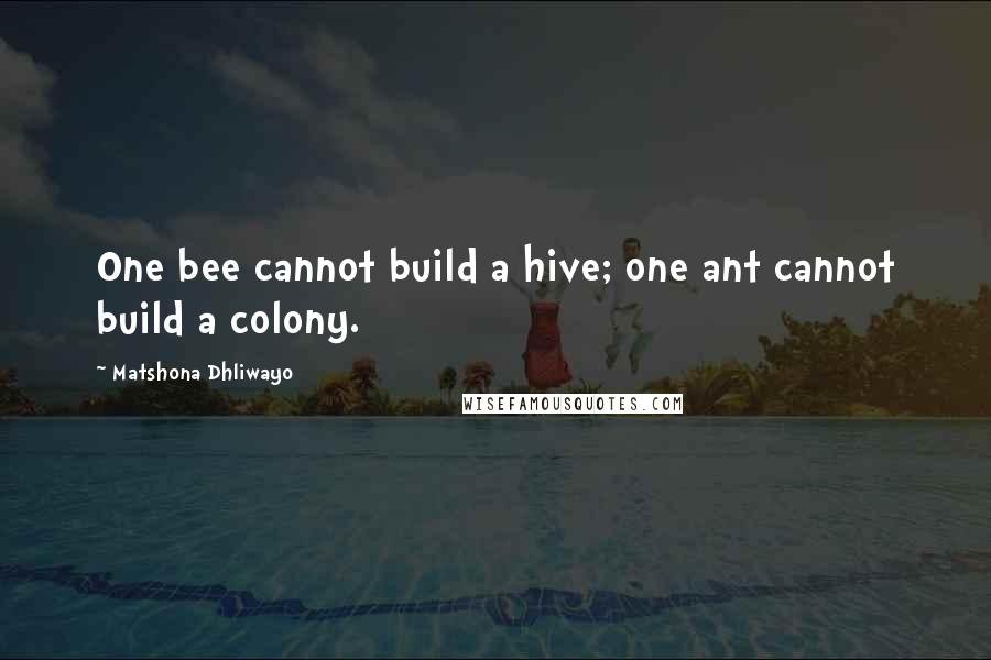 Matshona Dhliwayo Quotes: One bee cannot build a hive; one ant cannot build a colony.