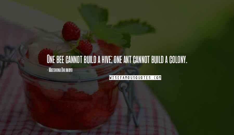 Matshona Dhliwayo Quotes: One bee cannot build a hive; one ant cannot build a colony.