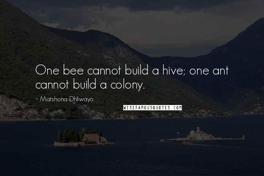 Matshona Dhliwayo Quotes: One bee cannot build a hive; one ant cannot build a colony.