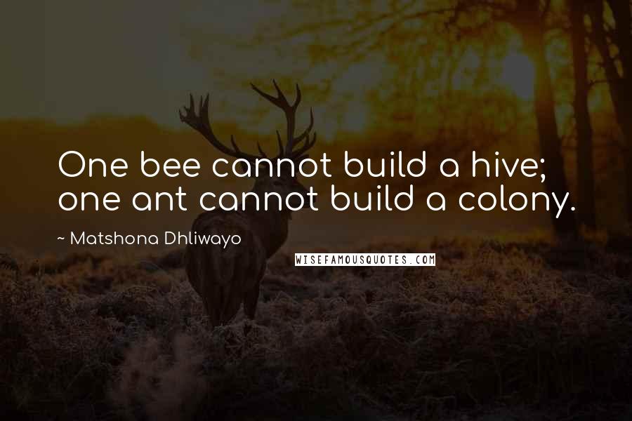 Matshona Dhliwayo Quotes: One bee cannot build a hive; one ant cannot build a colony.