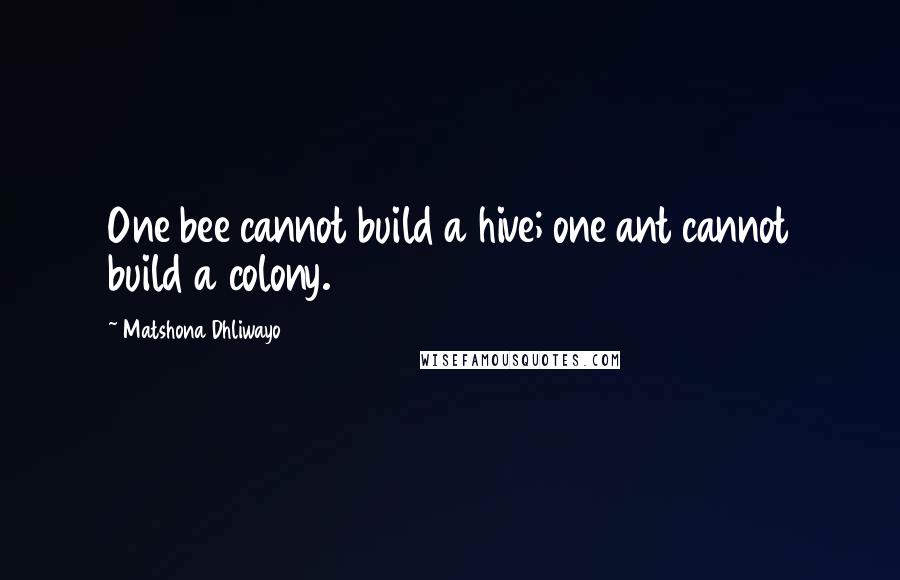 Matshona Dhliwayo Quotes: One bee cannot build a hive; one ant cannot build a colony.