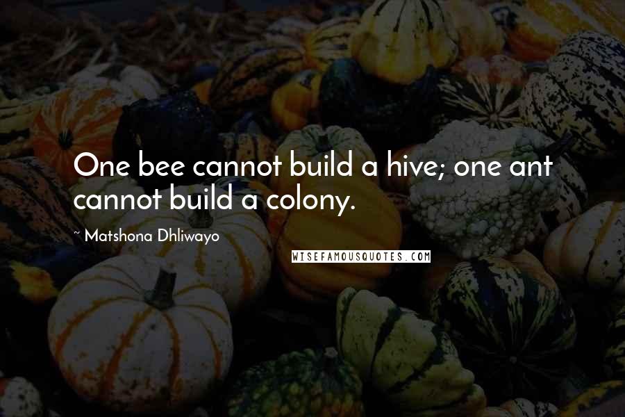 Matshona Dhliwayo Quotes: One bee cannot build a hive; one ant cannot build a colony.