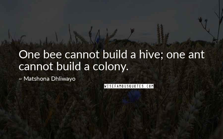 Matshona Dhliwayo Quotes: One bee cannot build a hive; one ant cannot build a colony.